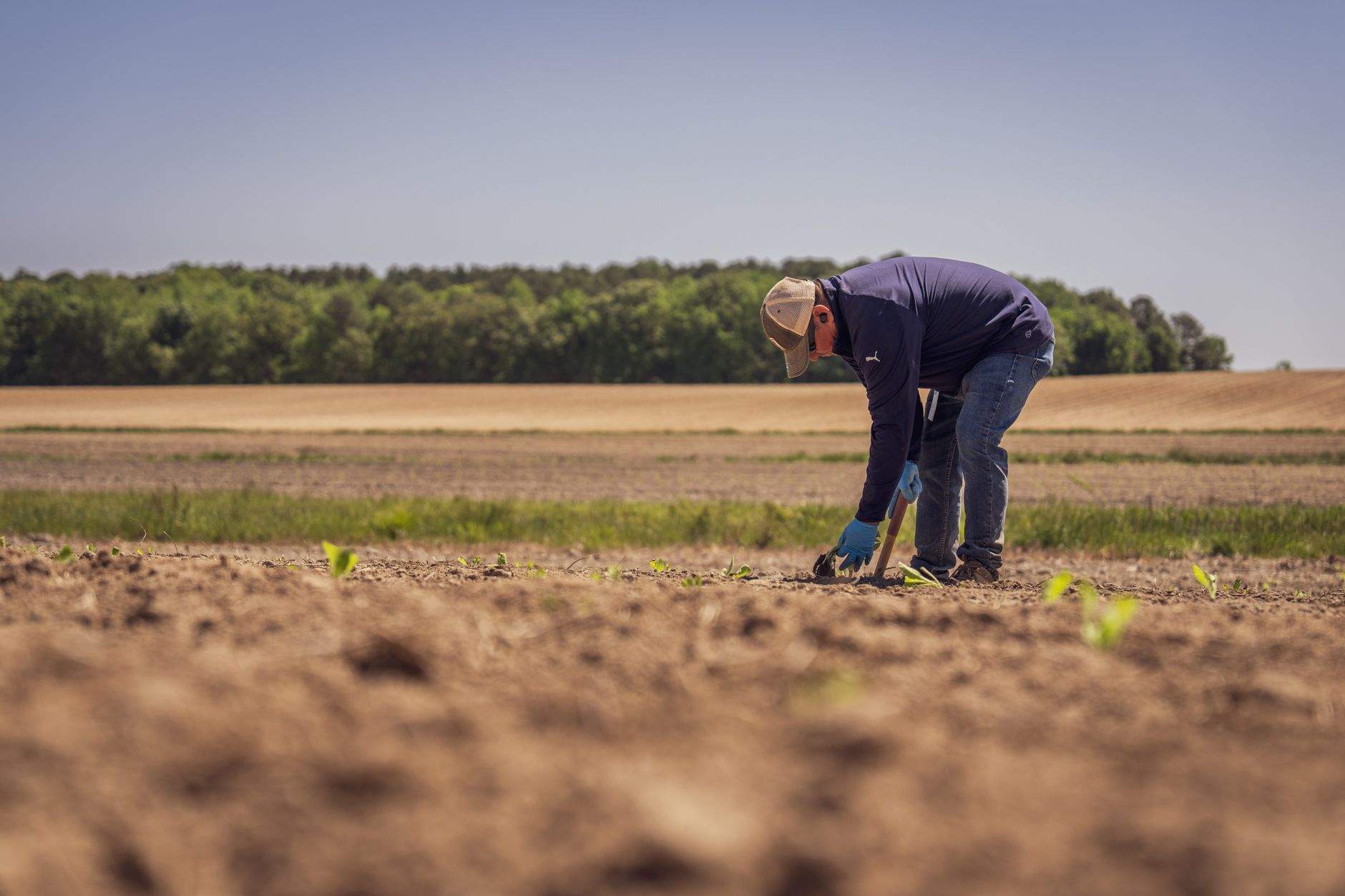 Agri Next 2026: Dezbateri despre finanțare, tehnologie și viitorul agriculturii în România