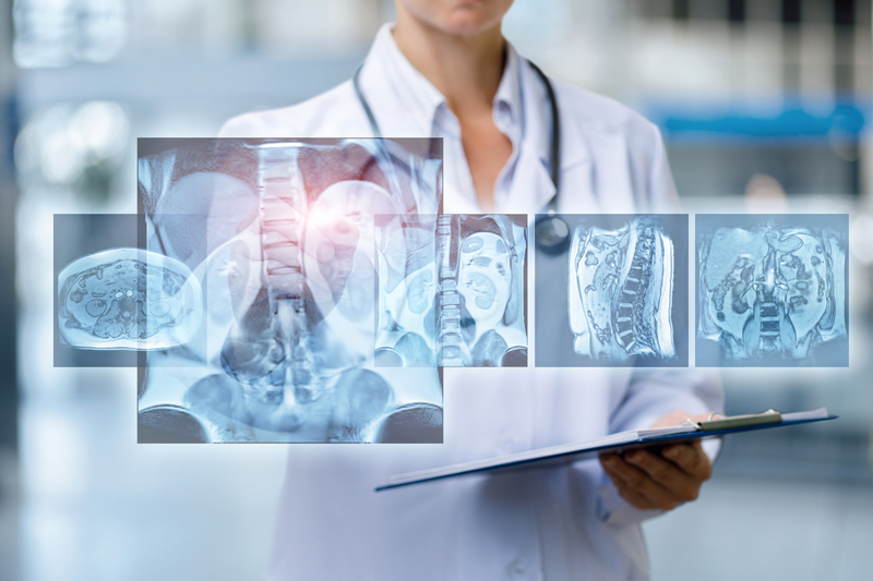 Cercetările științifice dezvăluie organele care îmbătrânesc cel mai rapid după vârsta de 50 de ani