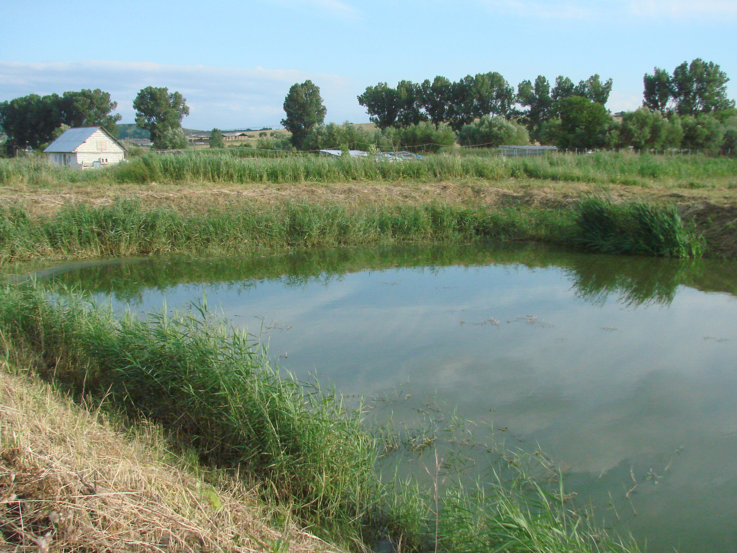 Primul sistem de epurare naturală a apelor uzate din mediul rural a fost implementat în Viscri