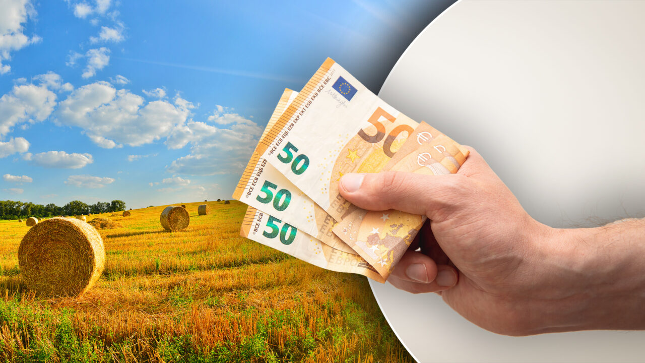 APIA a lansat plățile în avans pentru anul 2026 în sectorul vegetal și cel animal