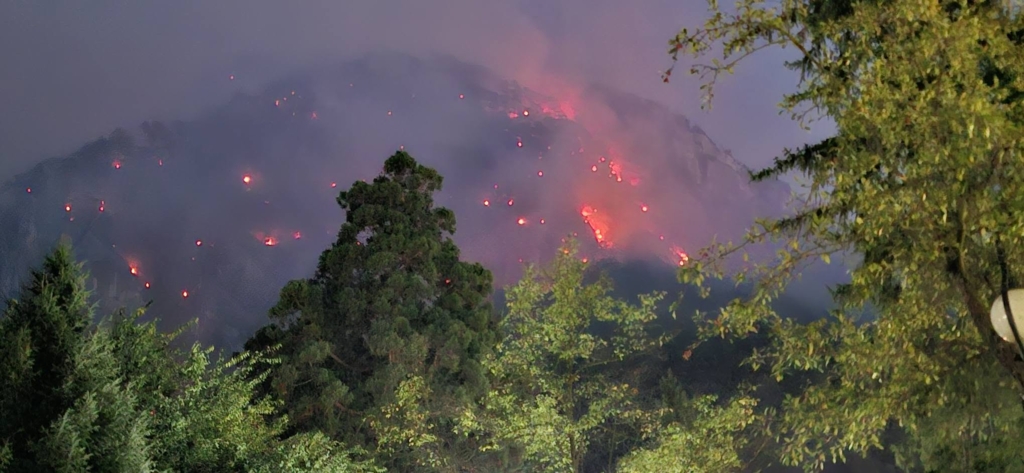 Ancheta Parchetului Militar pentru incendiile din Domogled: peste 2.100 de hectare de pădure distruse