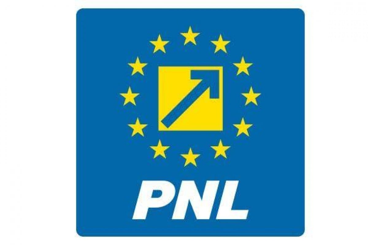 PNL a decis să voteze Guvernul Luca Niculescu în Parlament