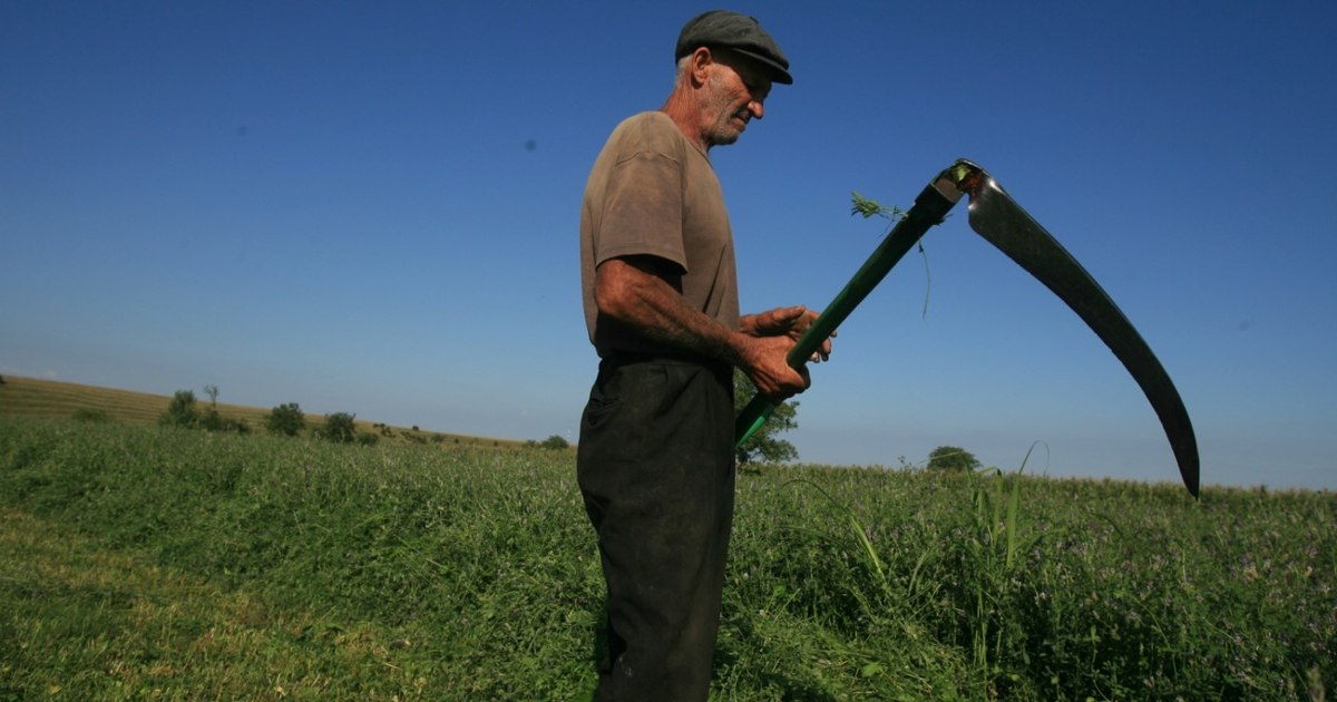 Tinerii evită agricultura din cauza lipsei timpului liber și a riscurilor financiare