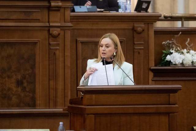 Concluzii de la Cotroceni: PACE susține un guvern politic pentru redresarea României