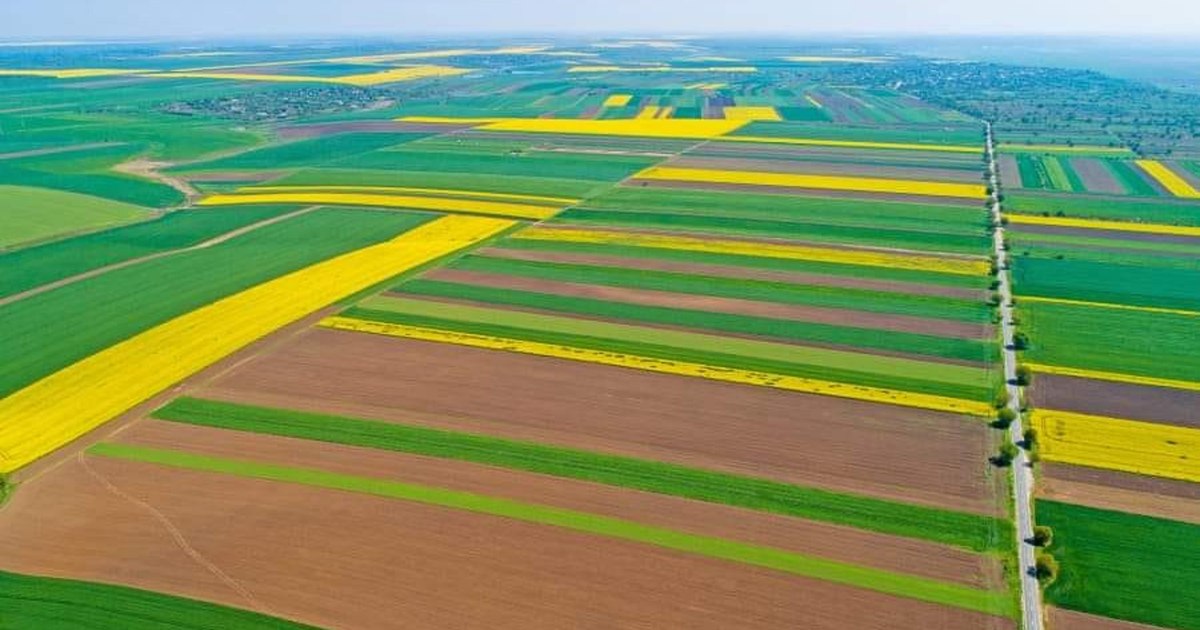 Ministerul Agriculturii pregătește leasingul funciar pentru sprijinirea fermierilor