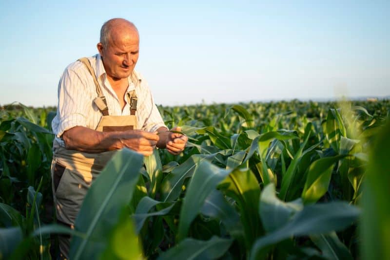 Tánczos Barna solicită 1,2-1,5 miliarde de lei pentru Ministerul Agriculturii