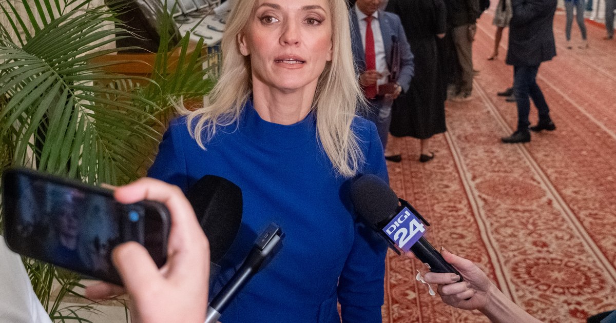 Alina Gorghiu critică învestirea Guvernului Luca Niculescu: „O performanță negativă greu de egalat”