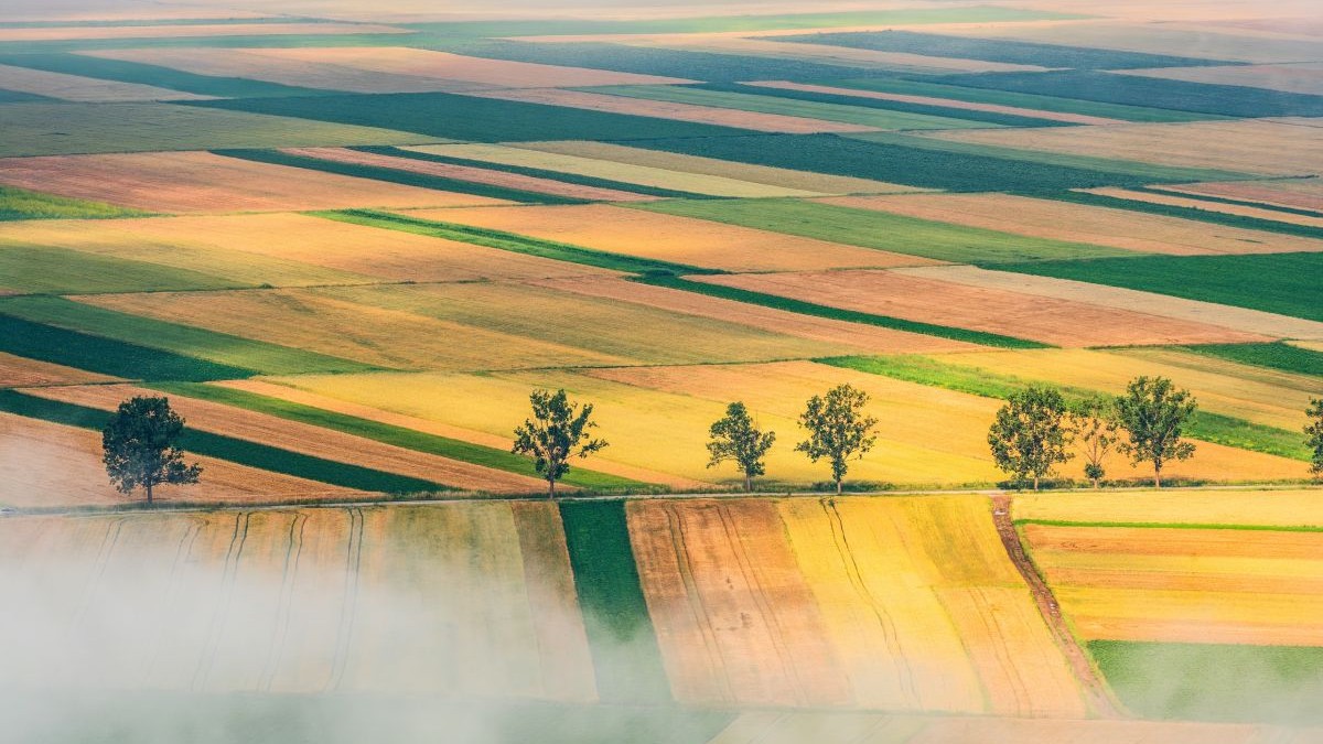 Prețul terenurilor agricole în România: de la 22.000 la peste 61.000 de lei pe hectar