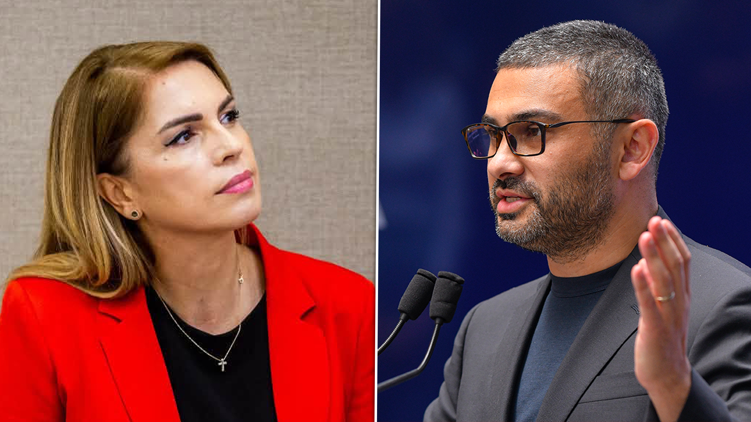 Luminița Popescu refuză să demisioneze de la șefia ANES, deși urmează să fie demisă de noul ministru