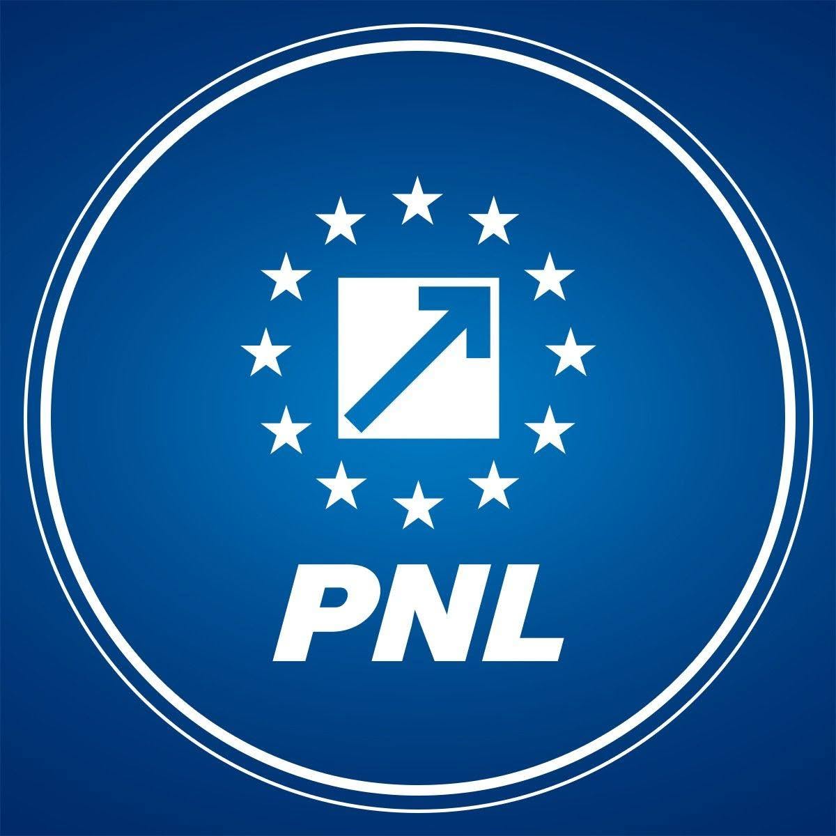 PNL solicită anularea deciziei Tribunalului București privind completurile pentru dosarele partidelor politice