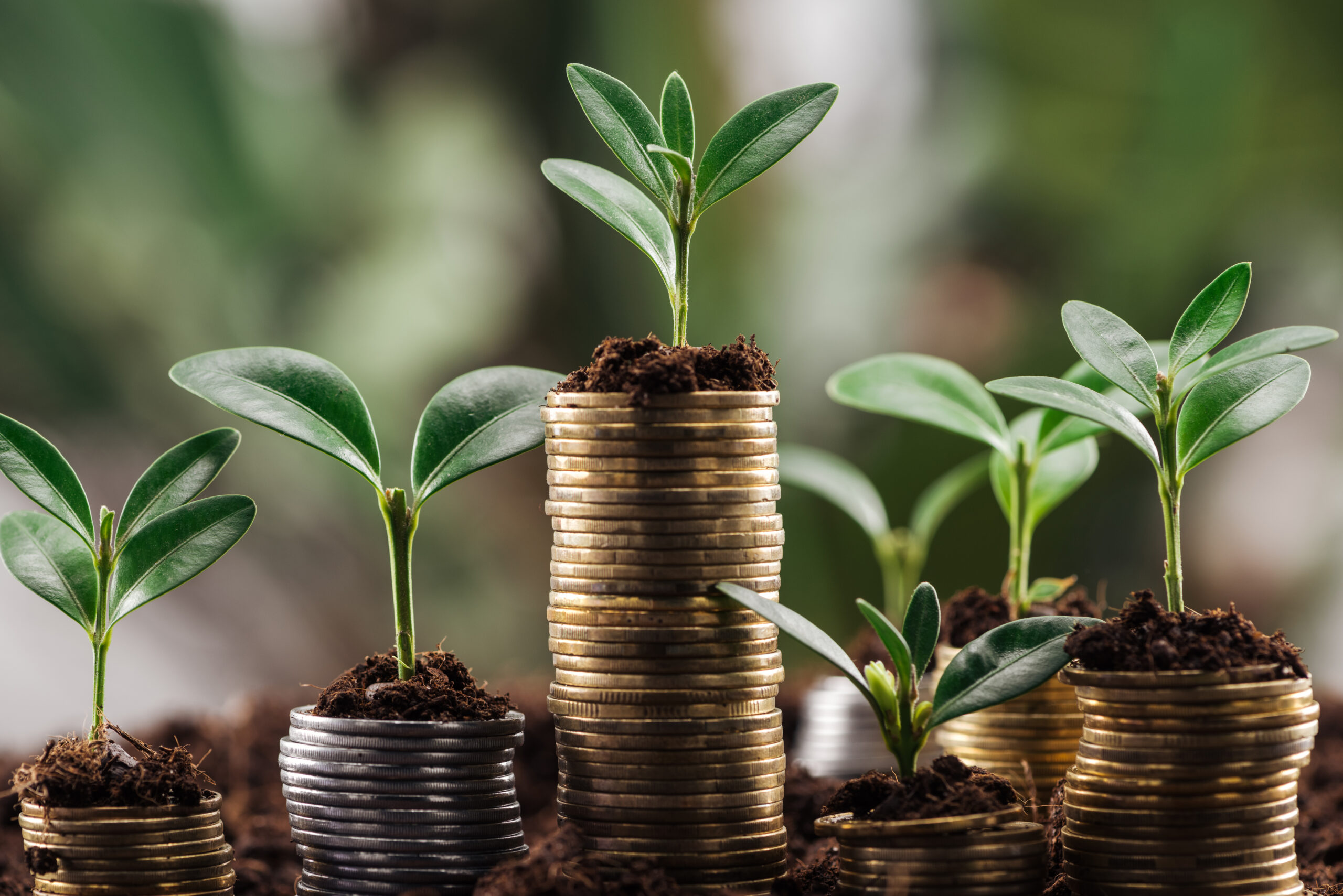 Prioritățile financiare ale românilor: economisirea domină în fața protecției și a investițiilor