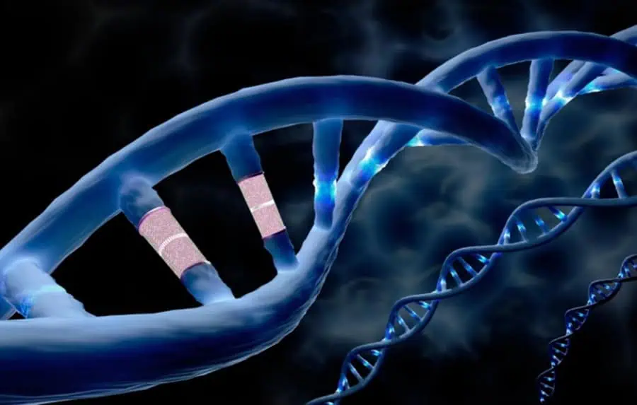 Primul tratament prin editare genetică direct în organism a fost aplicat pentru boala Wilson