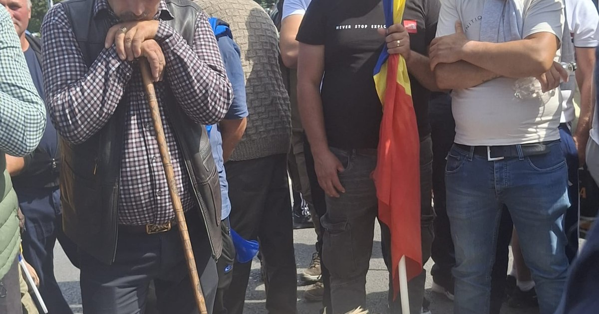 Criza ovinelor în România: Exporturile sunt blocate, iar fermierii așteaptă soluții concrete