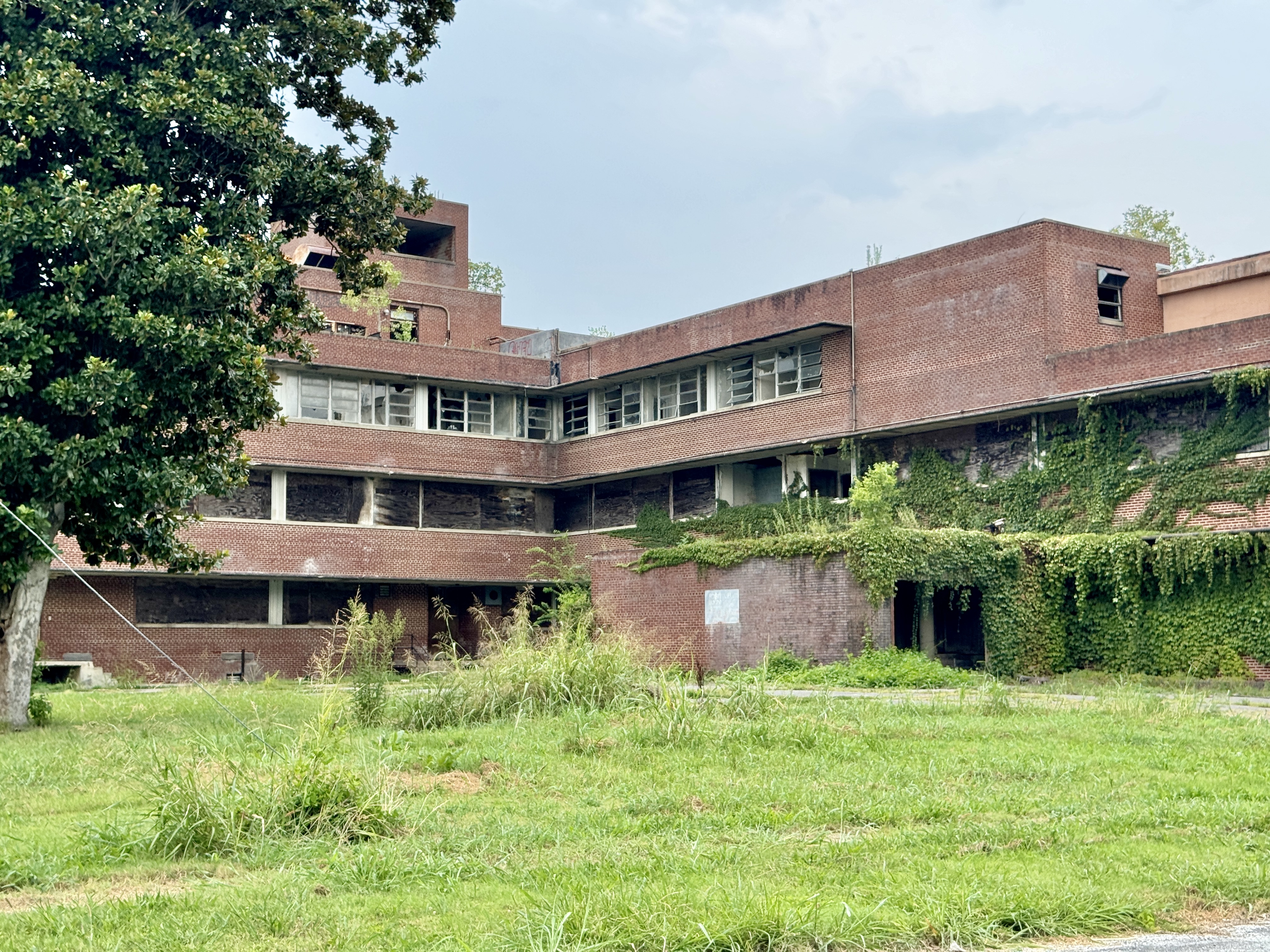 Alexandru Rogobete anunță înființarea unui institut de boli imunologice la Iași