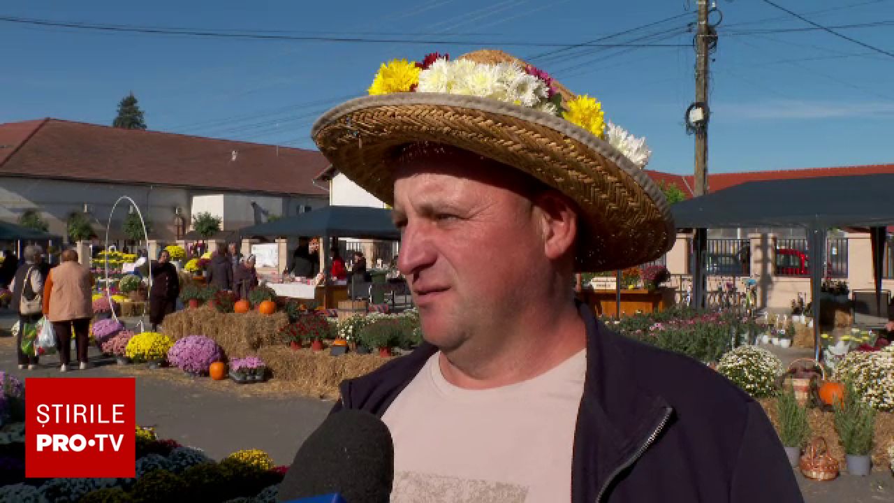 Schimbarea profilului agricol în Curtici: fermierii renunță la legume în favoarea florilor