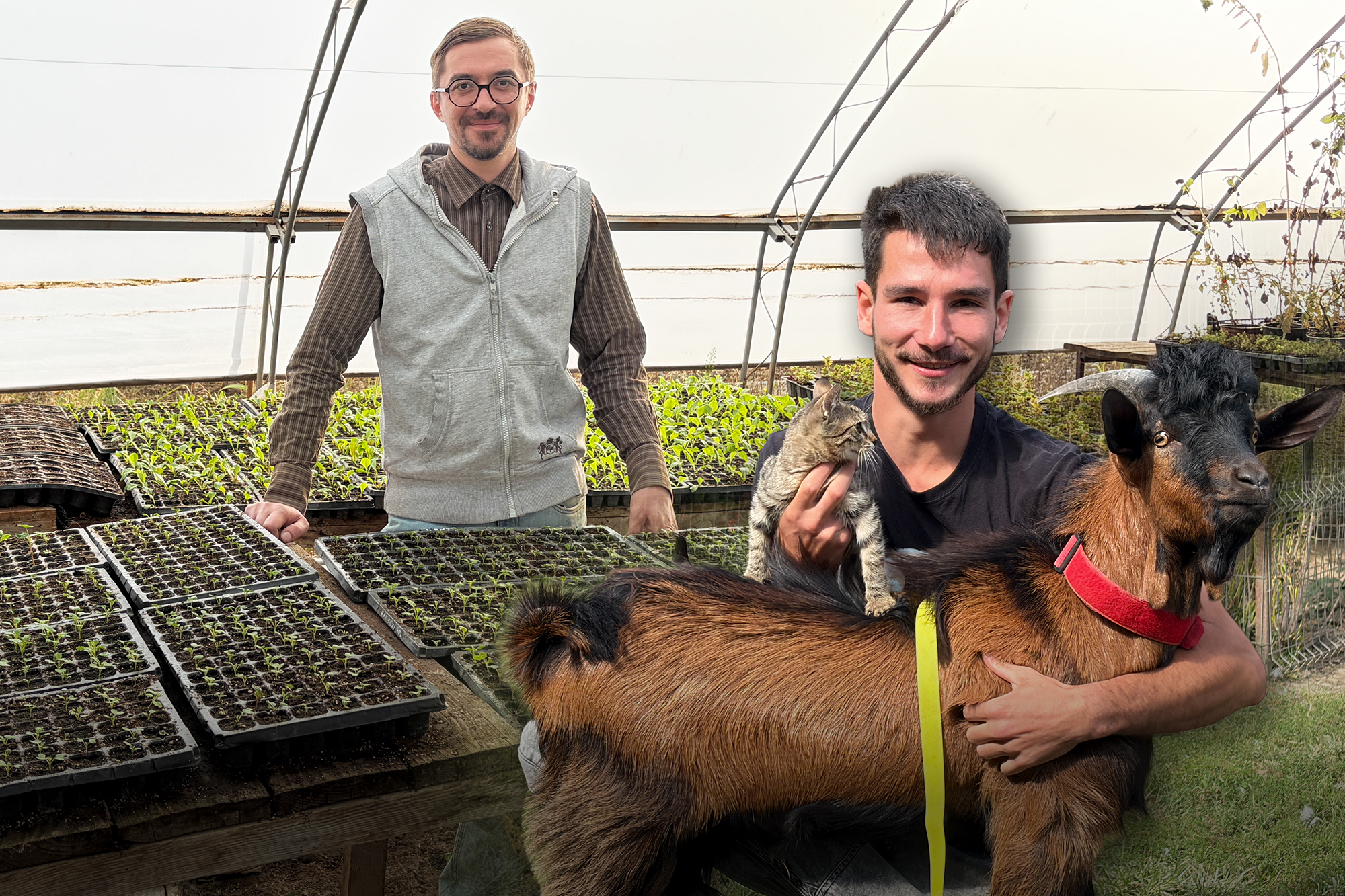 Tinerii fermieri din România inovează prin agricultură regenerativă și tehnologie