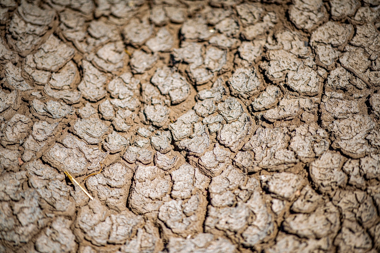 Ministerul Agriculturii propune modificarea modului de calcul al ajutoarelor pentru secetă