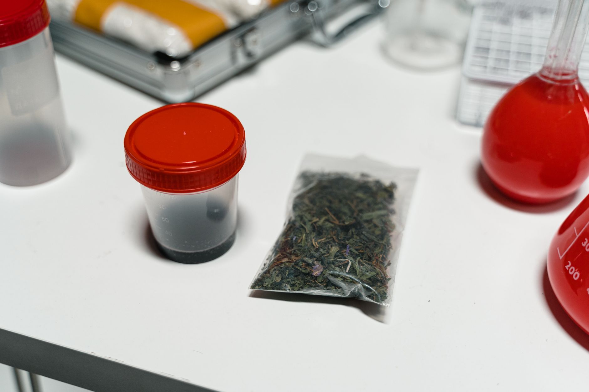 Italia riscă o criză de aprovizionare cu canabis medicinal după falimentul furnizorului Bedrocan