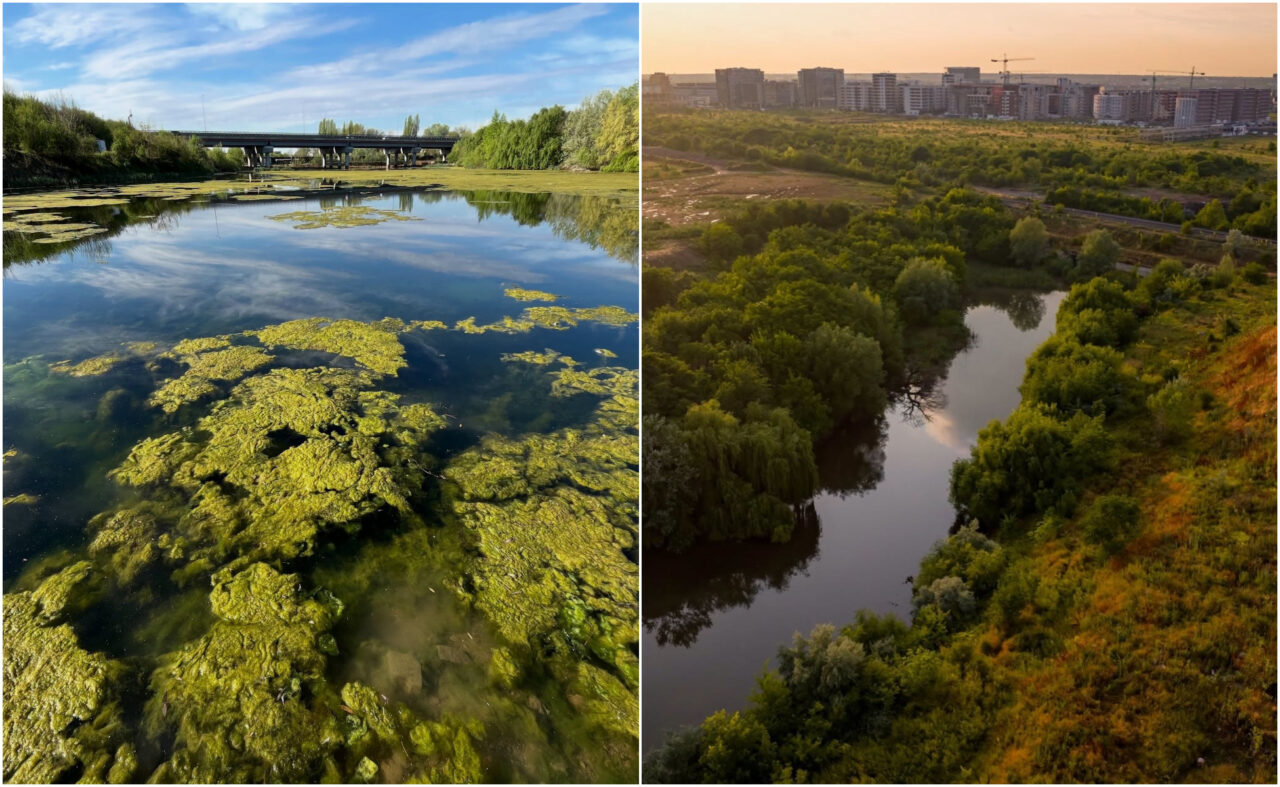 Valea Saulei devine a treia arie naturală protejată din București. Zona de 5,2 hectare este protejată de construcții