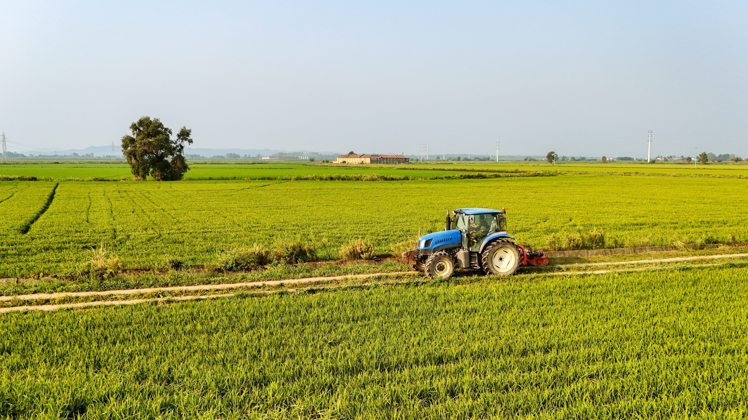 ANF recomandă fermierilor rezolvarea unor obligații înainte de noul sezon agricol