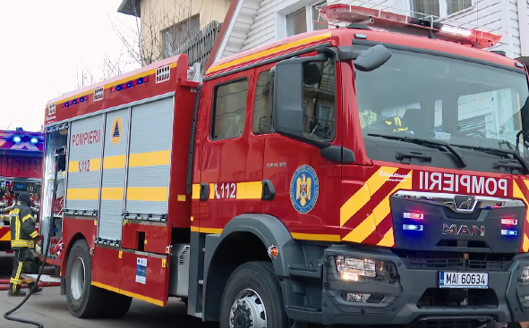 Alertă la o școală din Iași: Au fost găsite pisici moarte lângă un recipient cu dioxid de sulf