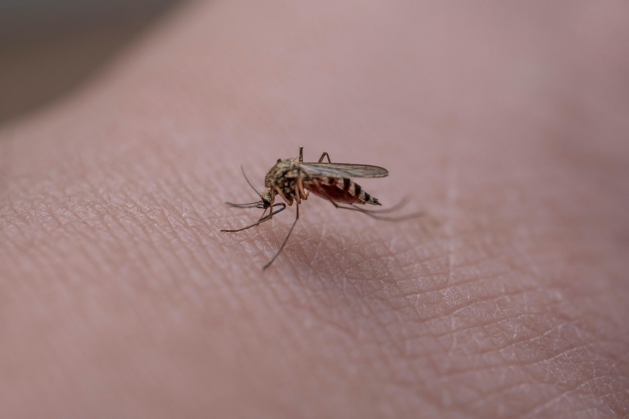 Cifra de 83 de cazuri de West Nile înregistrate în România: Cine sunt persoanele cele mai afectate