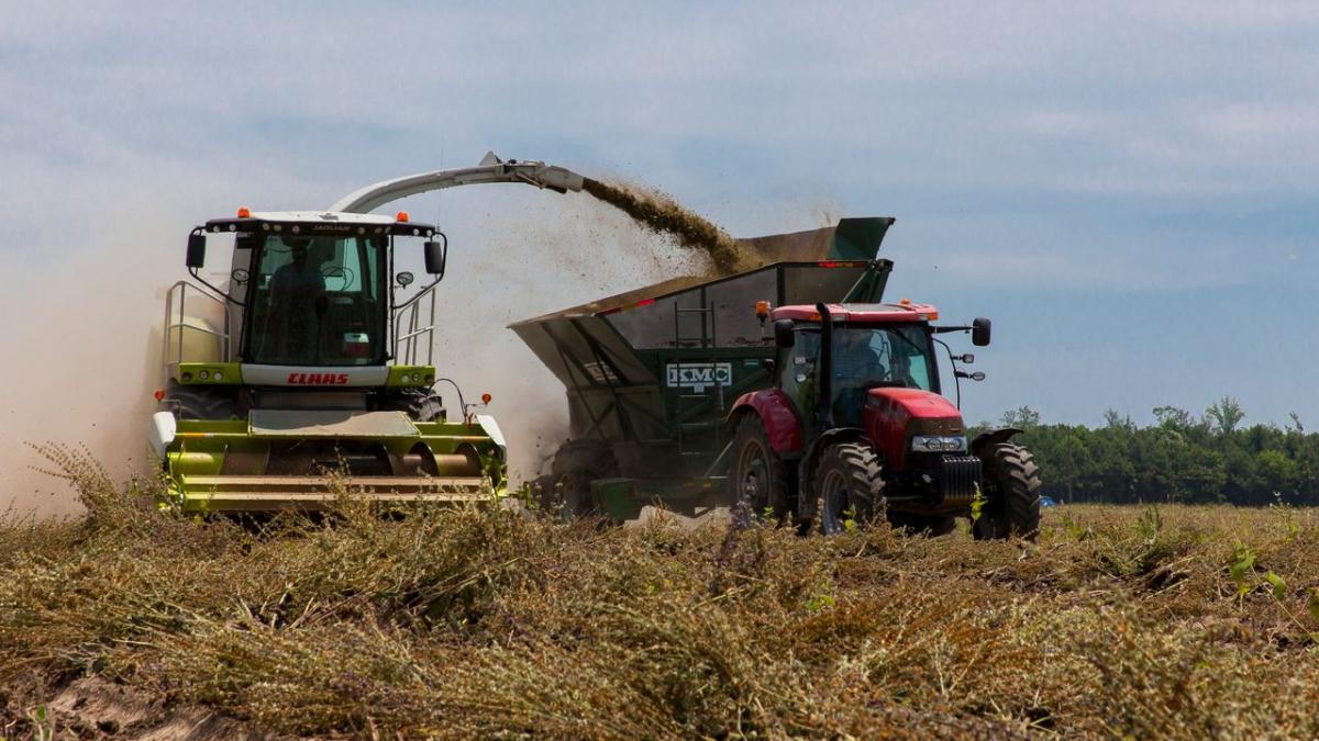 Peste 589 de milioane de euro au fost virate în conturile fermierilor din România
