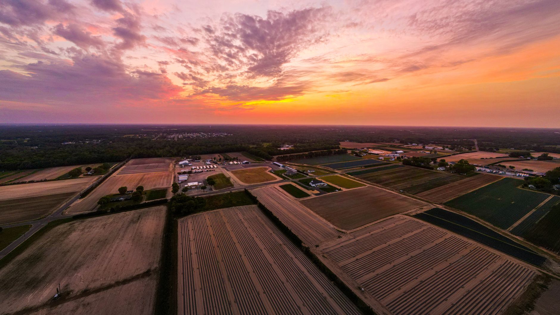 Tánczos Barna critică rectificarea bugetară: Ministerul Agriculturii a pierdut fonduri naționale importante