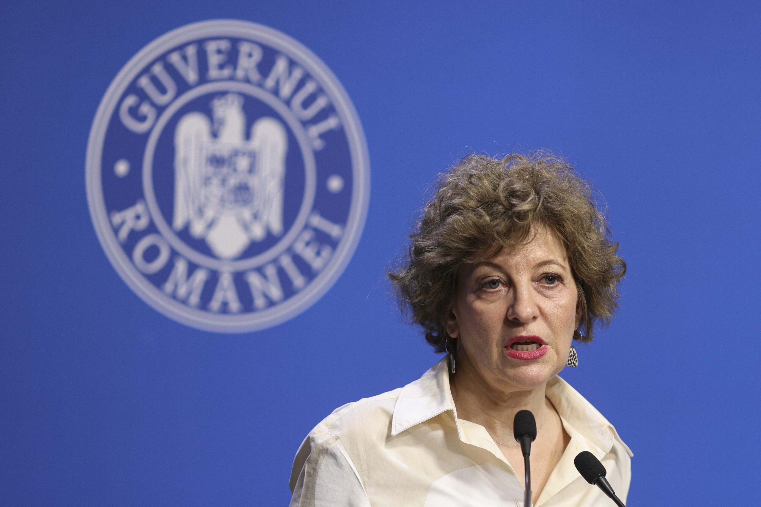 Guvernul va analiza peste 1.000 de companii de stat pentru restructurare sau desființare