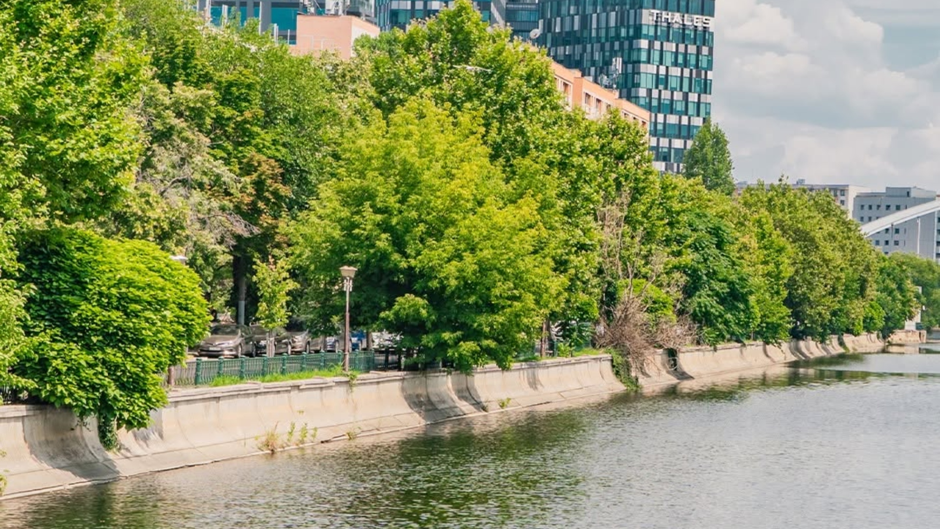 Inventarierea arborilor de pe malul Dâmboviței, un proiect de monitorizare a stării de sănătate a vegetației