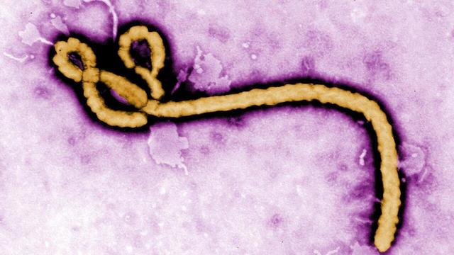 Epidemia de Ebola din RD Congo depășește 7.000 de cazuri confirmate și se extinde într-o nouă provincie
