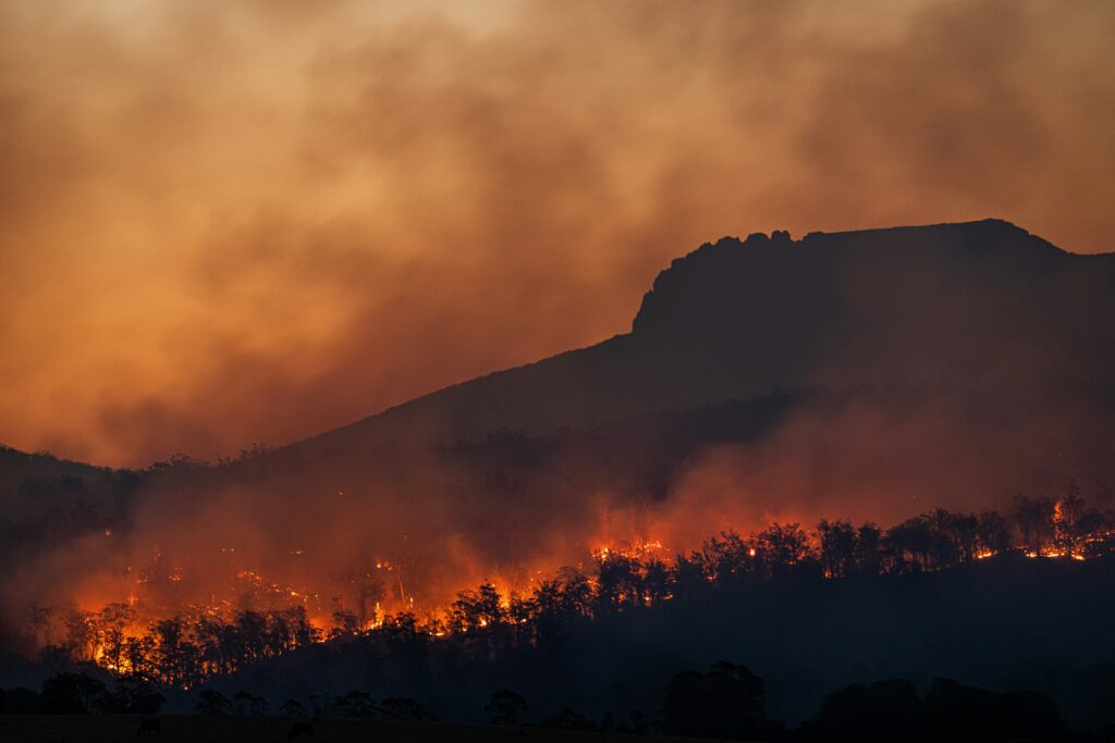 Fumul de la incendiile de vegetație este mai nociv pentru sănătate decât alte surse de poluare