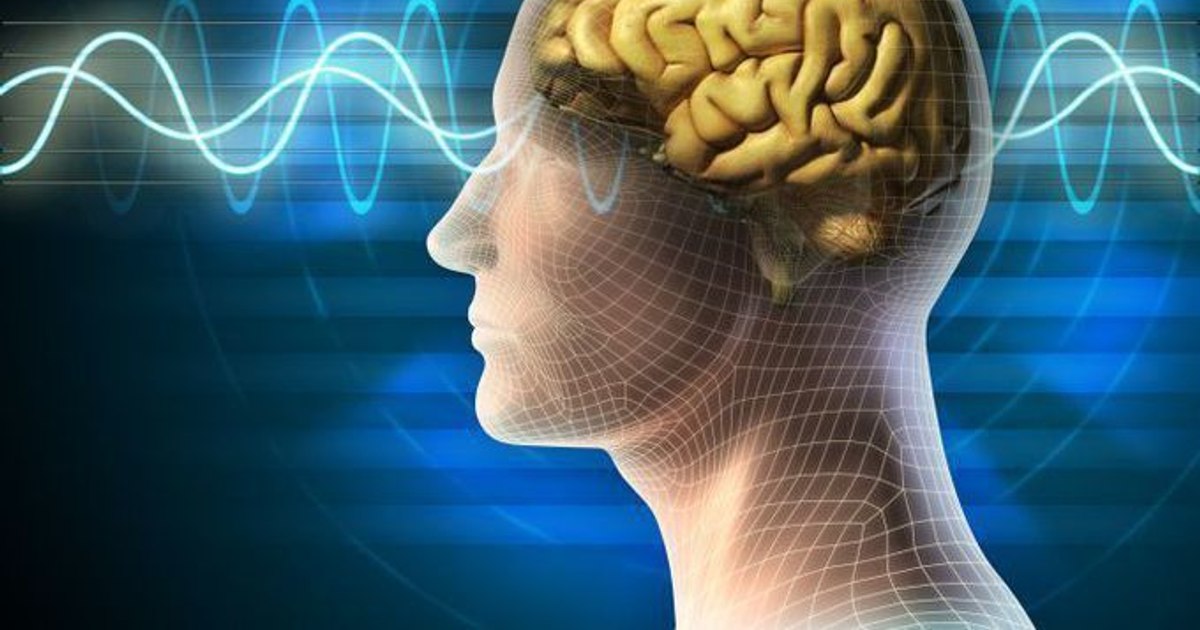 Colina, nutrientul esențial pentru creier care lipsește din multe diete, conform neurologilor