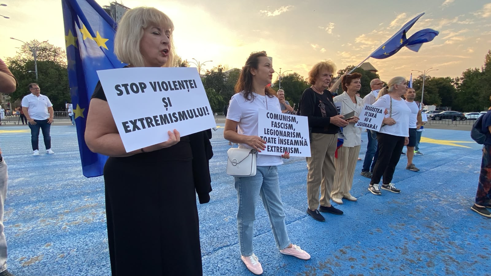 Protest pentru democrație în Piața Victoriei: doar 60 de participanți și intervenție a jandarmeriei