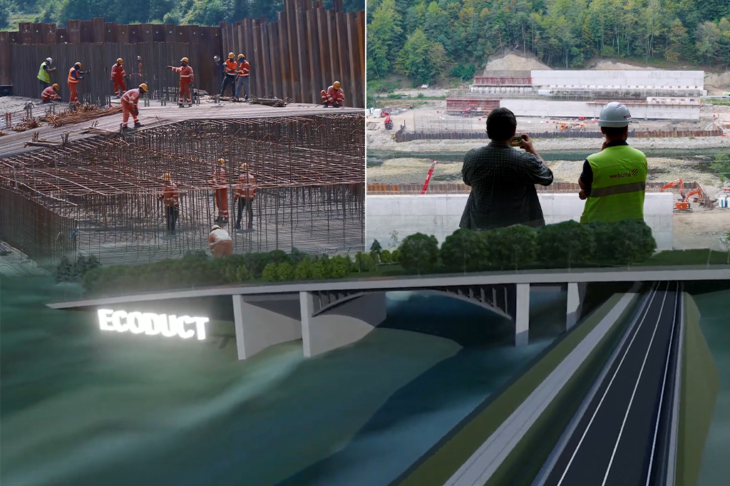 Ecoductul Călinești: se construiește cel mai lat pod din România pentru protejarea faunei pe autostrada Sibiu-Pitești