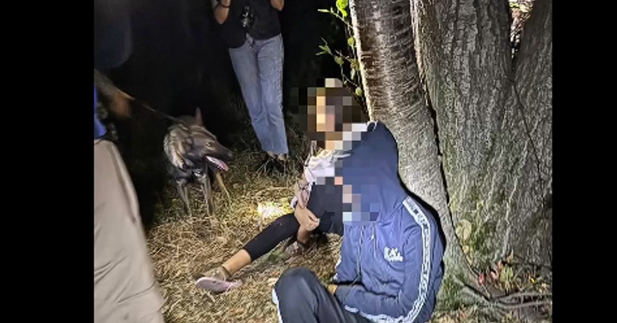 Câinele de urmă Luna a salvat doi copii de 13 ani care au plecat voluntar de acasă în Vâlcea