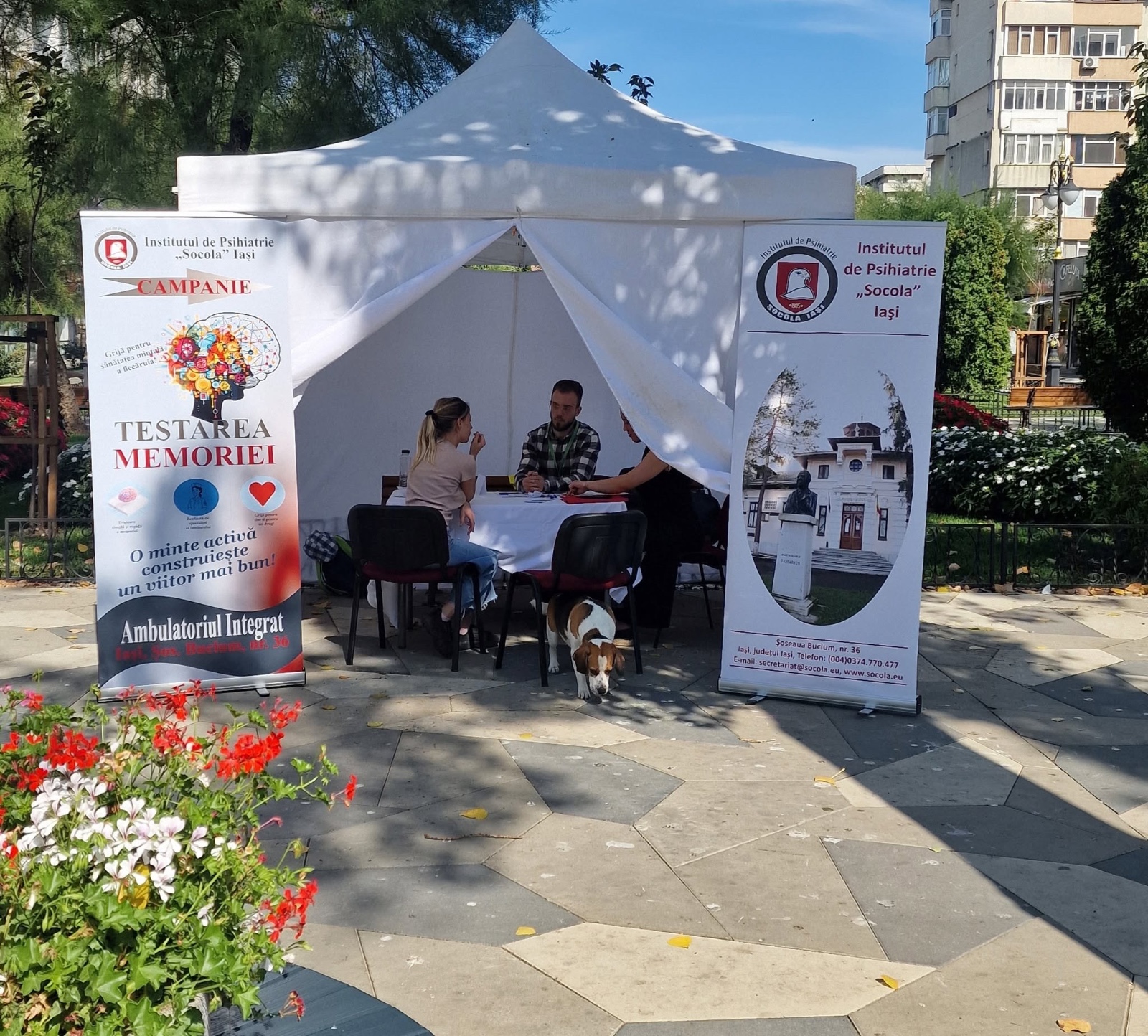 Rezultate ale campaniei de testare a memoriei organizate de Institutul de Psihiatrie „Socola” în Iași