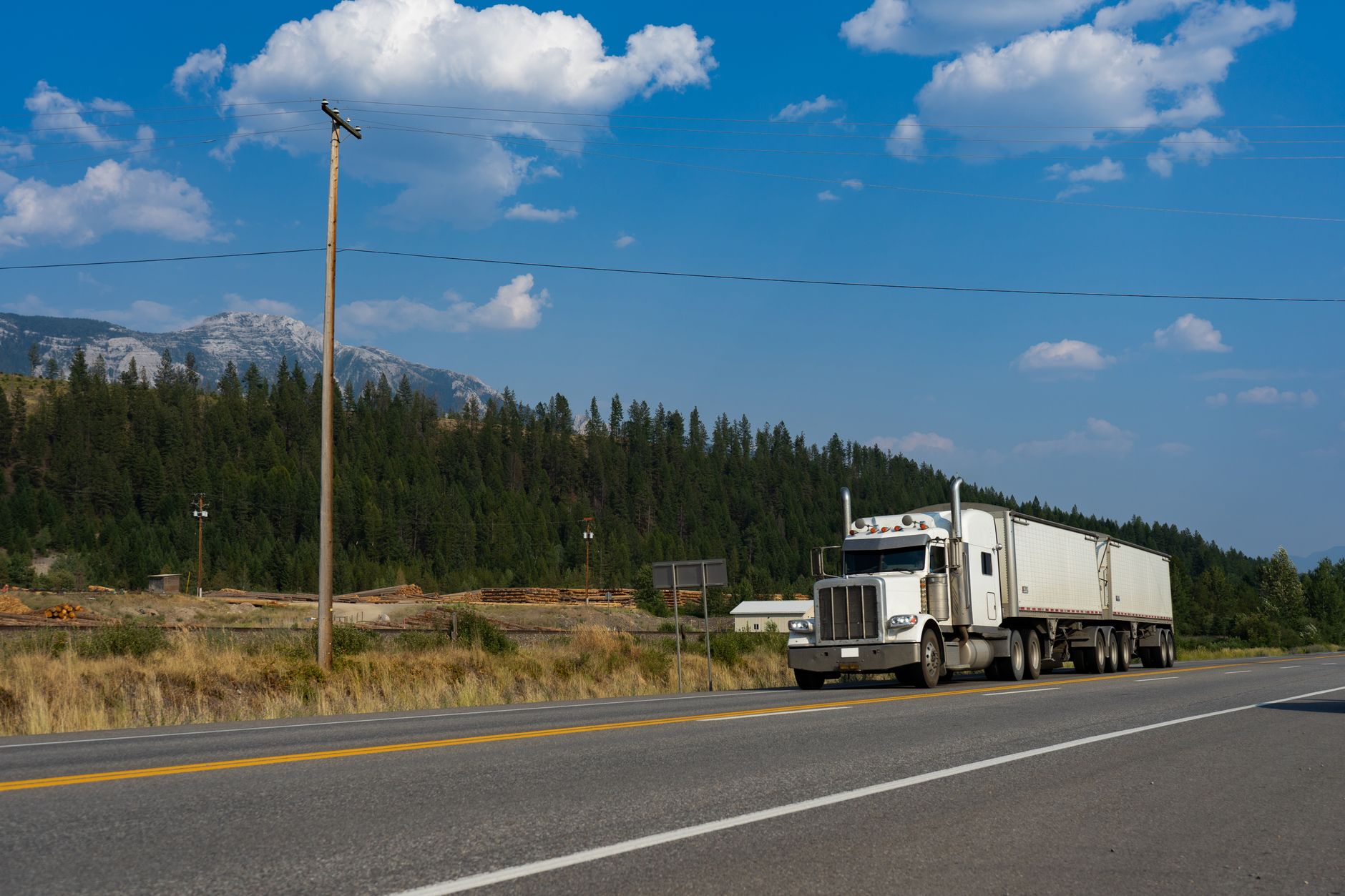 Transport clandestin de oi interceptat în Alba Iulia: riscuri pentru exporturile de animale vii