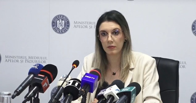 Diana Buzoianu cere instituirea stării de alertă în Ilfov și București din cauza arderilor ilegale din Sintești