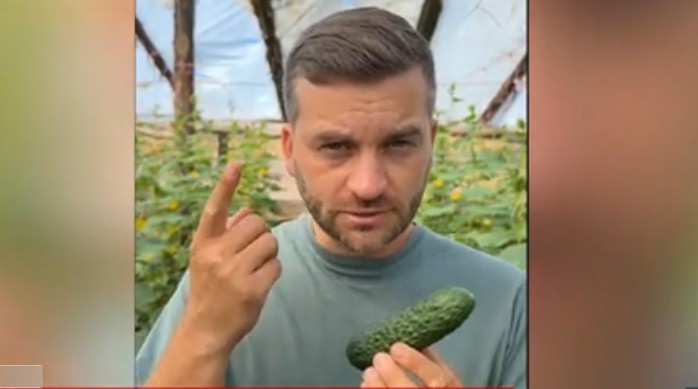 Fermier din Galați oferă castraveți gratuit după prăbușirea prețurilor la piață