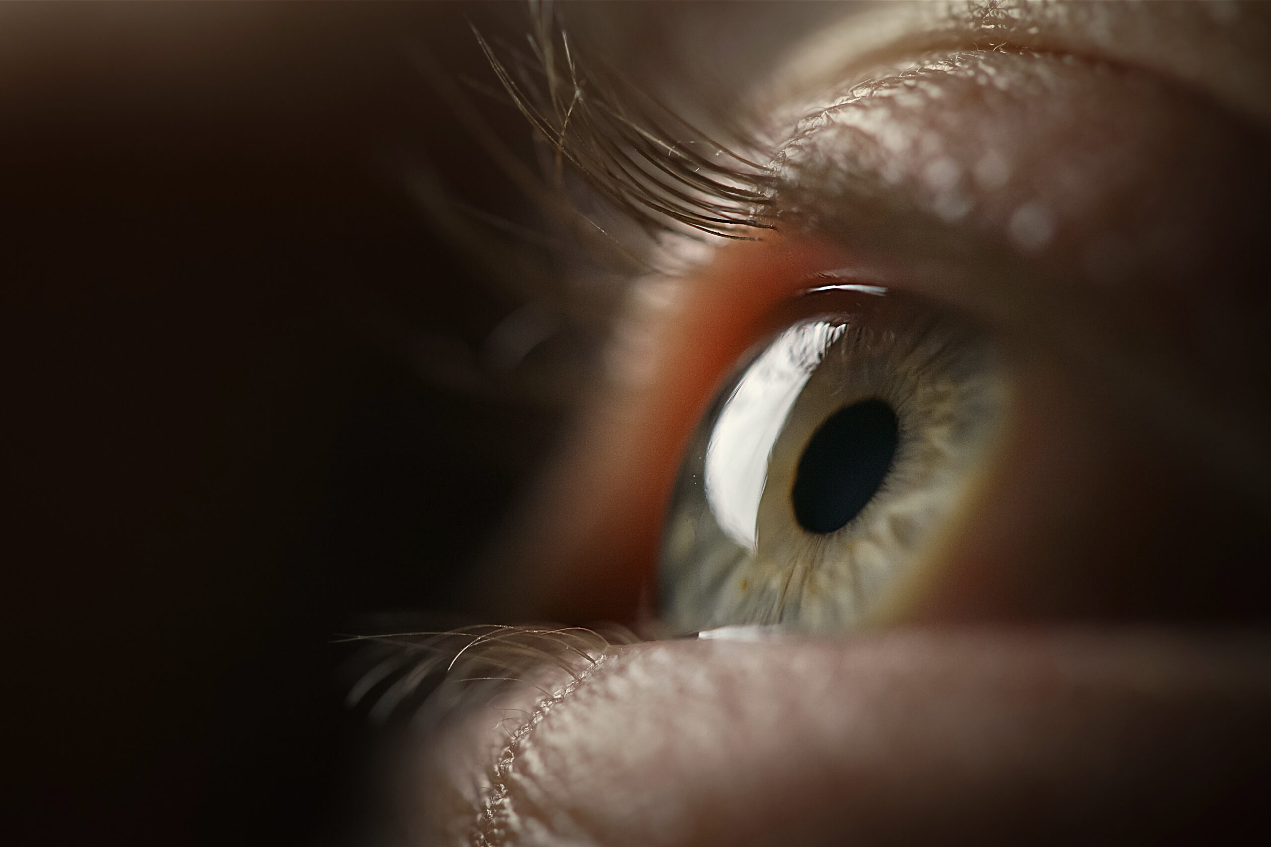 Scanarea ochiului poate estima vârsta biologică reală a organismului, arată un studiu