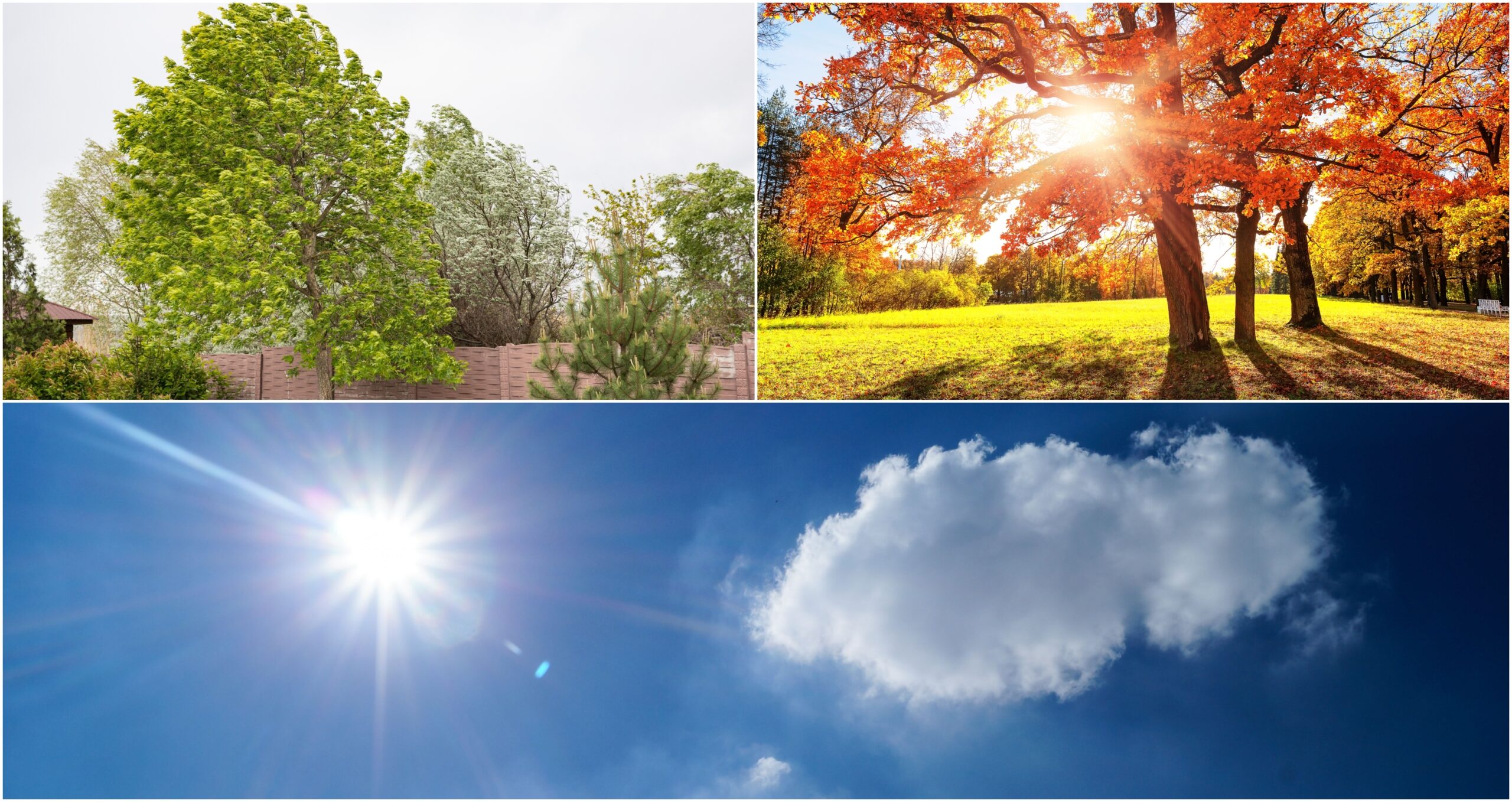 Vara revine în România după episodul de toamnă. Temperaturi peste normal în restul lunii septembrie