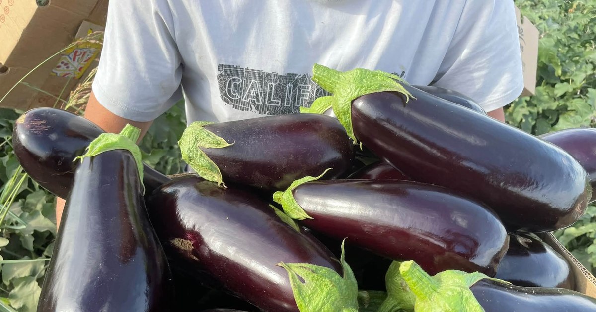 Prețurile la legume în această toamnă: vânăta este vedeta piețelor după scăderea producției