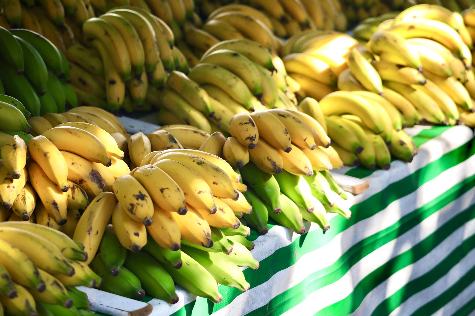 Beneficiile consumului de banane: de la digestie și energie la sănătatea cardiovasculară