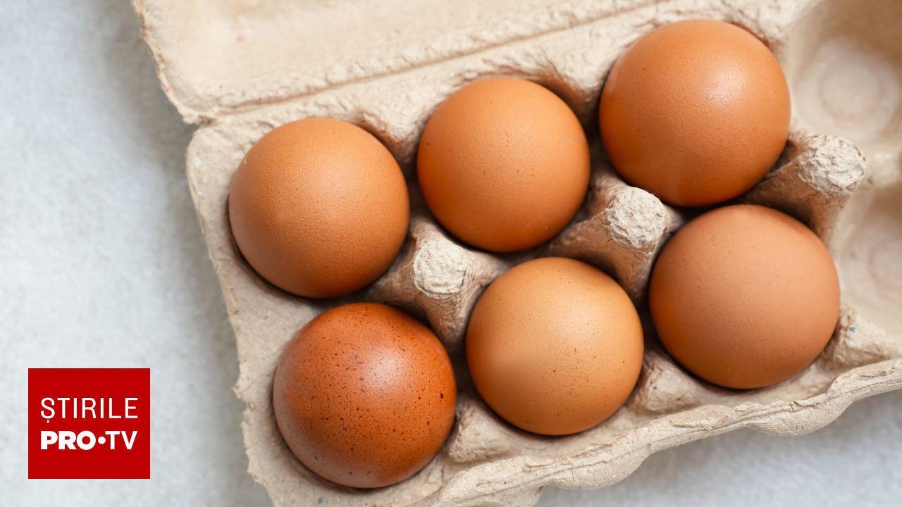 Impactul consumului de ouă asupra colesterolului: Ce spun noile studii despre sănătatea cardiovasculară
