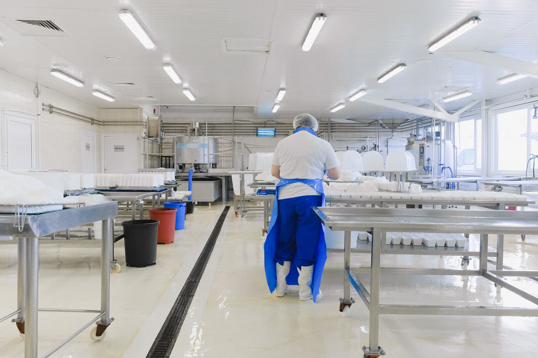Nestle România celebrează 30 de ani de activitate: impact economic de miliarde de lei în economia locală