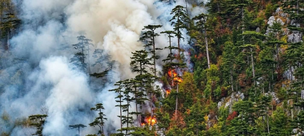 Incendiul din Parcul Național Domogled–Valea Cernei continuă de șapte săptămâni. Activiștii cer ajutor UE