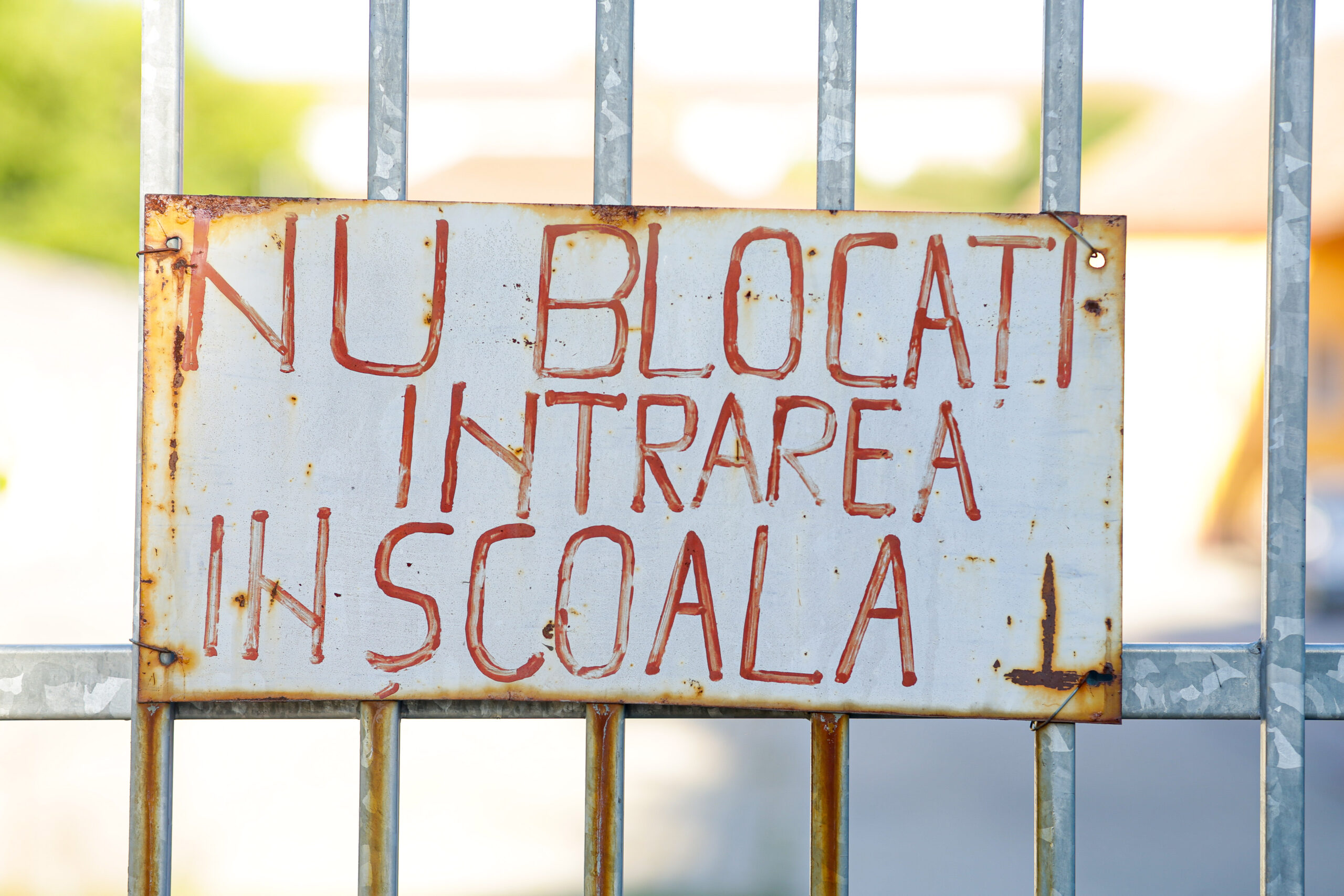 Măsuri propuse de Mihai Dimian după rezultatele PISA: Programul Școala altfel și Săptămâna verde vor deveni mai academice