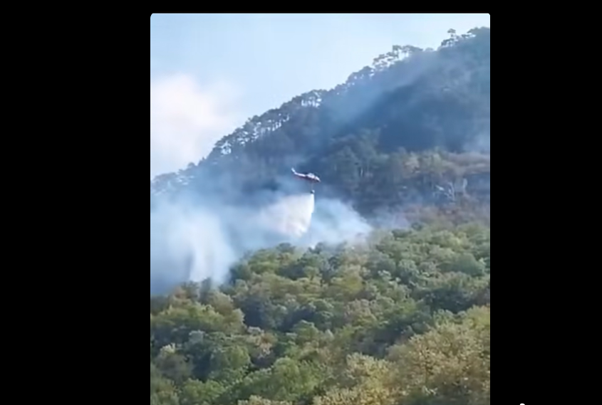 Gabriel Păun cere sprijin european după mobilizarea elic helicopterelor Black Hawk la Domogled