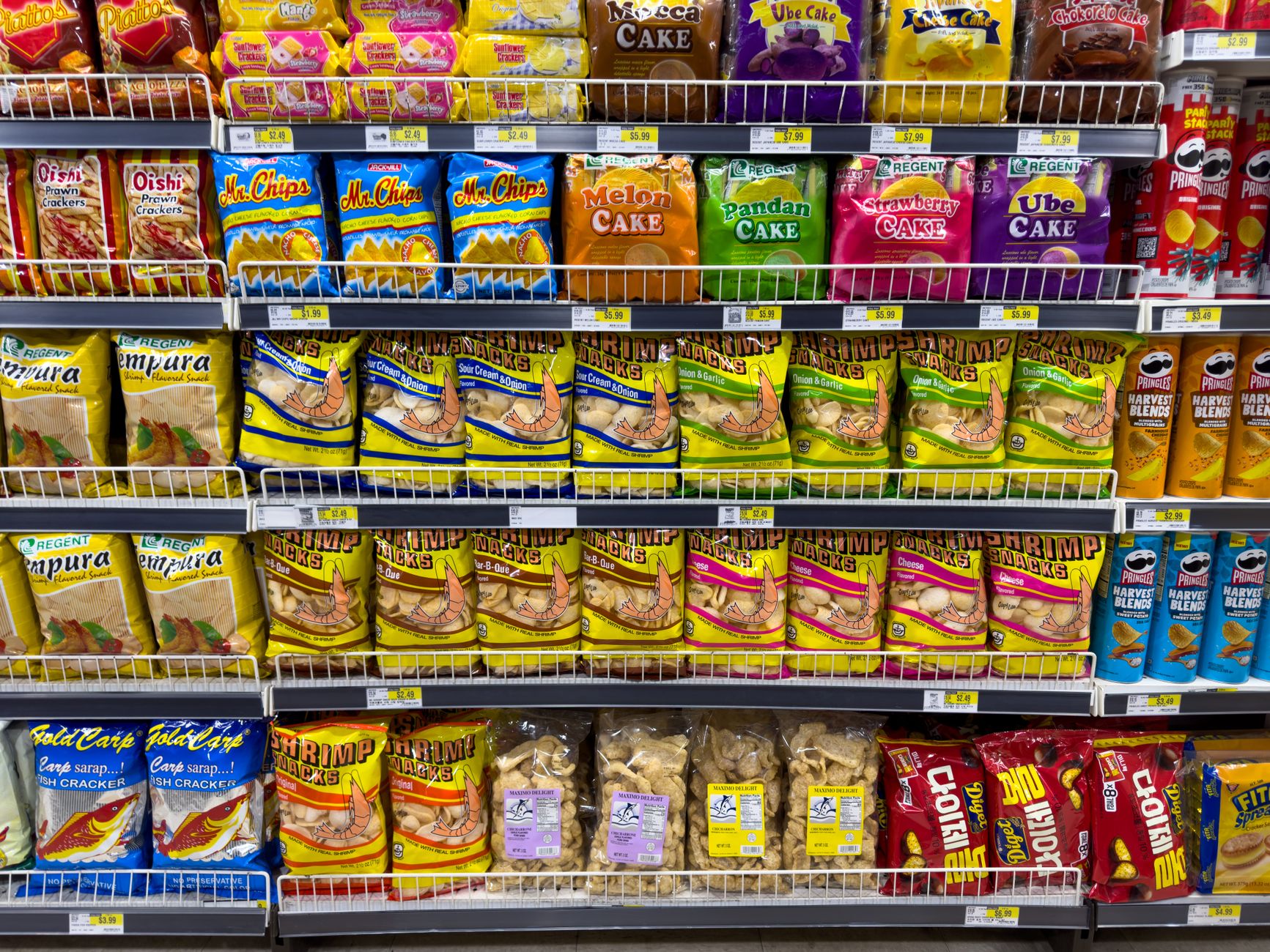 Lidl lansează noul brand Max & Mila’s World pentru animalele de companie în toate magazinele din România